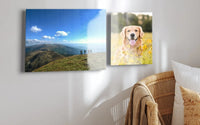 Acrylic Prints